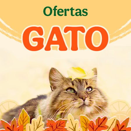 Ofertas gato